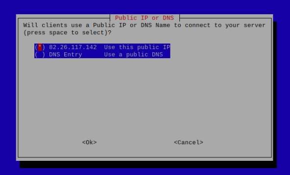  گزینه های عمومی IP یا DNS 