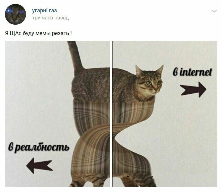  lyZlEfeNL6M.jpg 