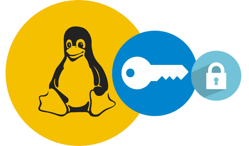 linux vpn hijacking bug