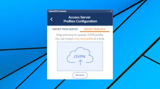  OpenVPN Connect 