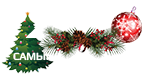چگونه می توان در یک گروه درآمد کسب کرد؟ - VKontakte💡