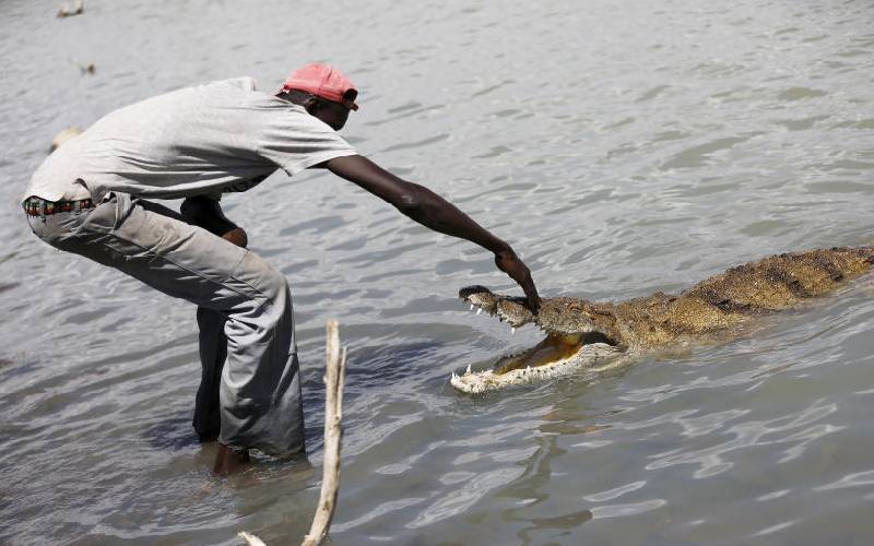 Experts scramble to put Baringo on the world map