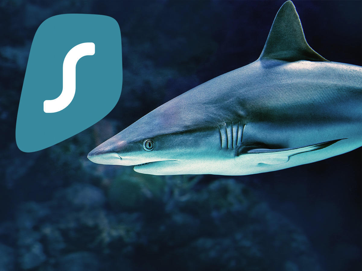  surfshark.jpg 