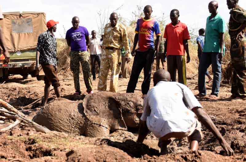 فاجعه مرگ دریاچه کامناروک برای اکوسیستم - استاندارد